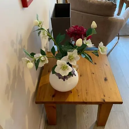 Centrally Located Light Warm & Welcoming בריסטול